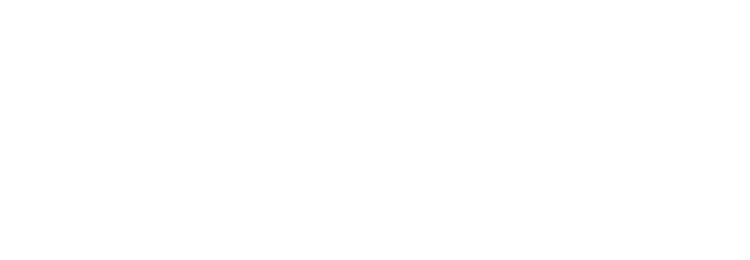 Resources & Energy Group Limited